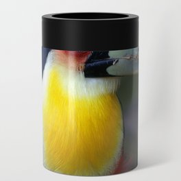 Brazil Photography - Wonderful Green-Billed Toucan Can Cooler