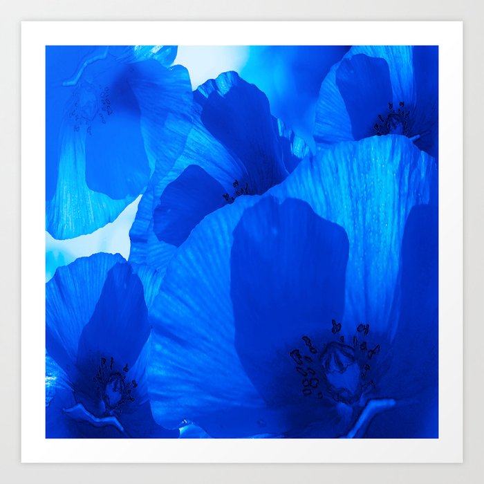 Blue Poppies #decor #society6 #buyart Art Print