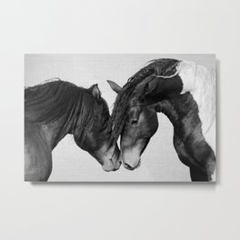Horses - Black & White 4 Metal Print