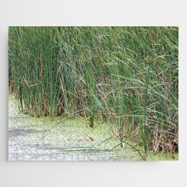 Green Cattails in the Marsh Jigsaw Puzzle