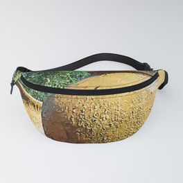 Two Large Urns Fanny Pack