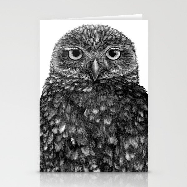 Burrowing Owl Print Stationery Cards