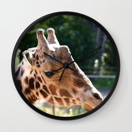 Baringo Giraffe Wall Clock