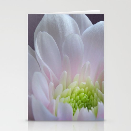 Pink Stationery Cards