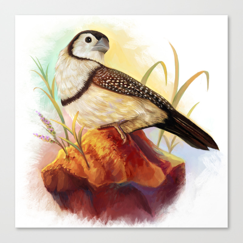 Owl Finches Realistic Painting Canvas Print By Lifewithbirds