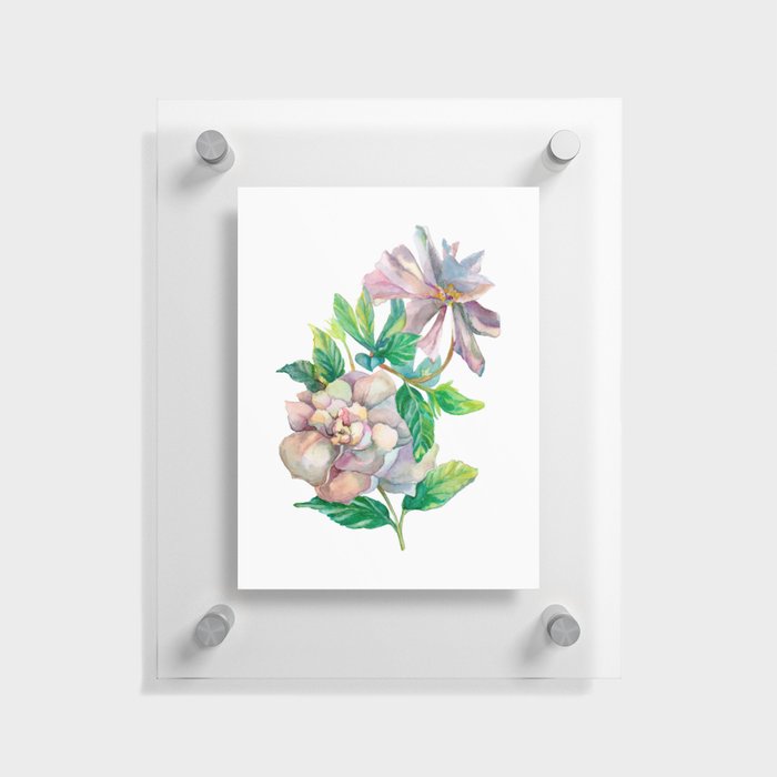 Gardenia jasminoides august feauty Floating Acrylic Print