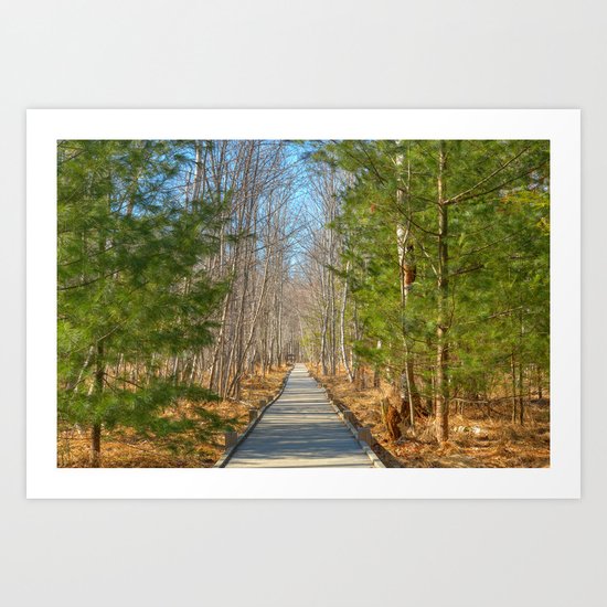 Jesup Boardwalk Trail Art Print
