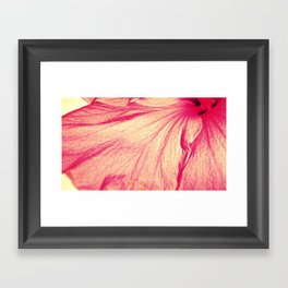 hibiscus fade Framed Art Print