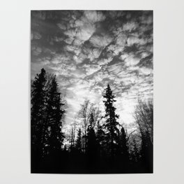 Blackened Sunrise Poster | Trees, White, Nature, Hdr, Black And White, Winter, Beauty, Photo, November, Clouds 