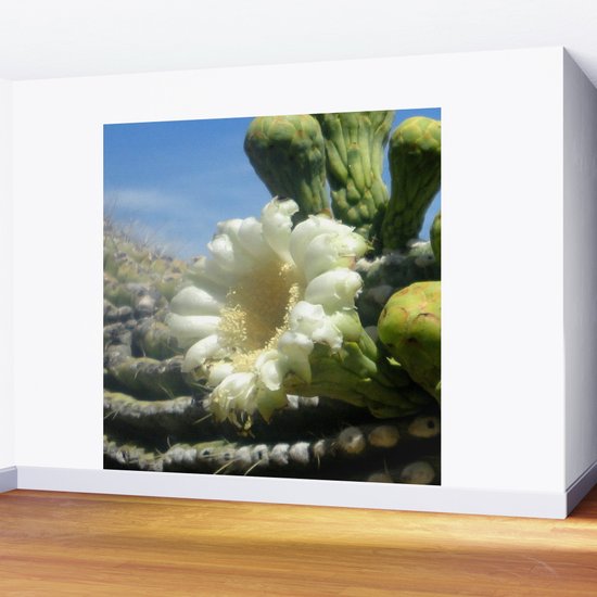 Saguaro Cactus Flower Wall Mural By Nazca3366 Society6