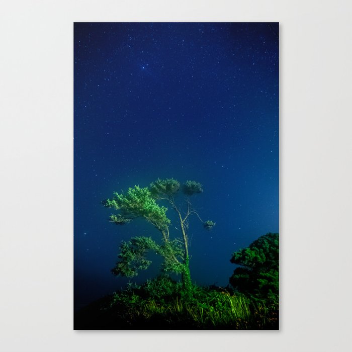 Solitary Under the Stars Canvas Print