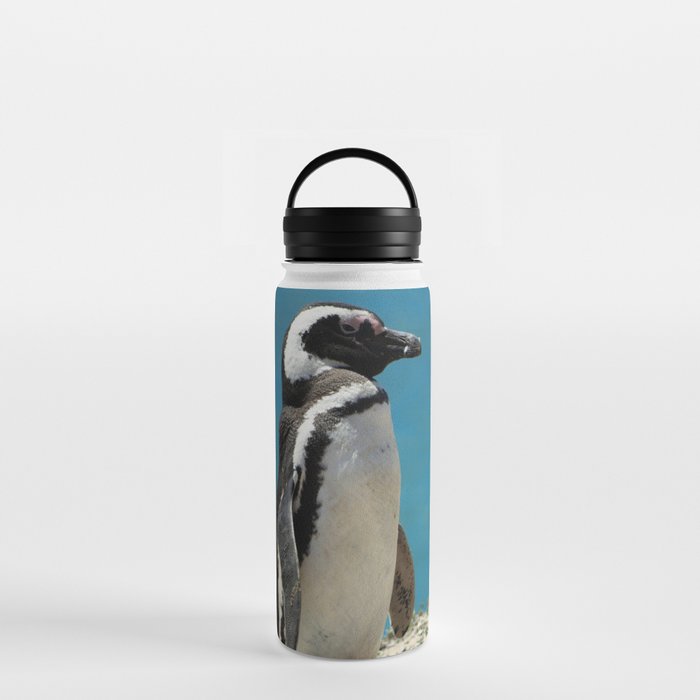 Argentina Photography - Beautiful Magellanic Penguin At The Ocean Shore Water Bottle