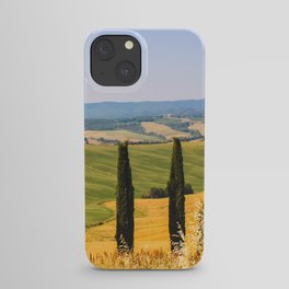 Wine Country iPhone Case