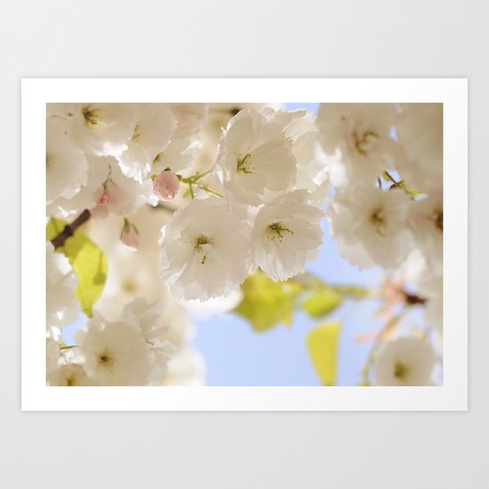 Spring is here Art Print