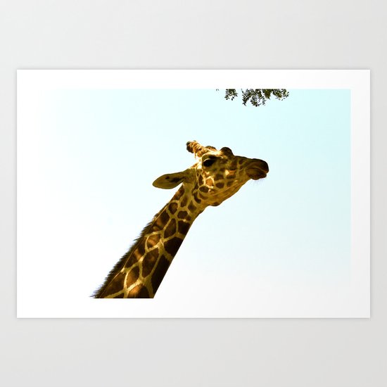 Zoo Art Print