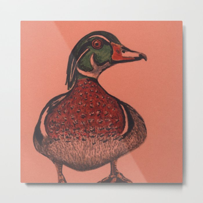 wood duck Metal Print