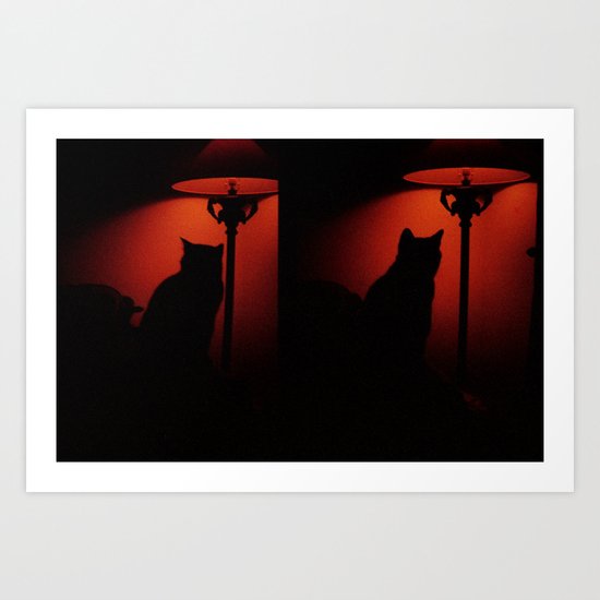 catcat Art Print