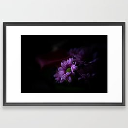 Pink flowers in the dark Framed Art Print