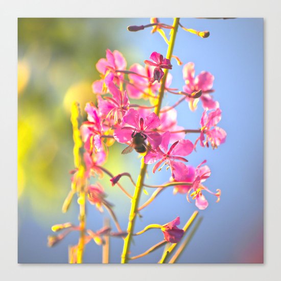 Summer Atmosphere Canvas Print