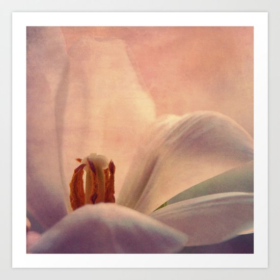 november light Art Print