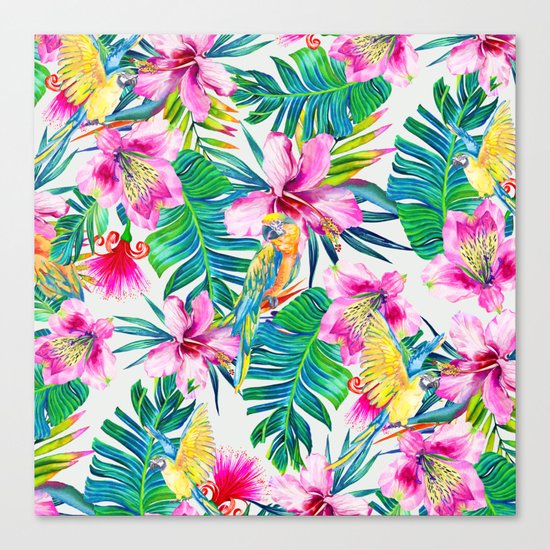 Parrot Beach Canvas Print