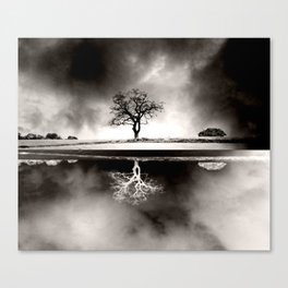 SOLITARY REFLECTION Canvas Print
