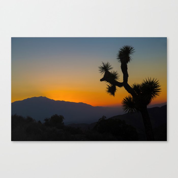 Sunset in Joshua Tree Canvas Print