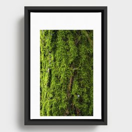 Moss Green, Moss Texture, Textured, Woodland Decor, Nature Art Print, Moss Decor, Nature home, Framed Canvas