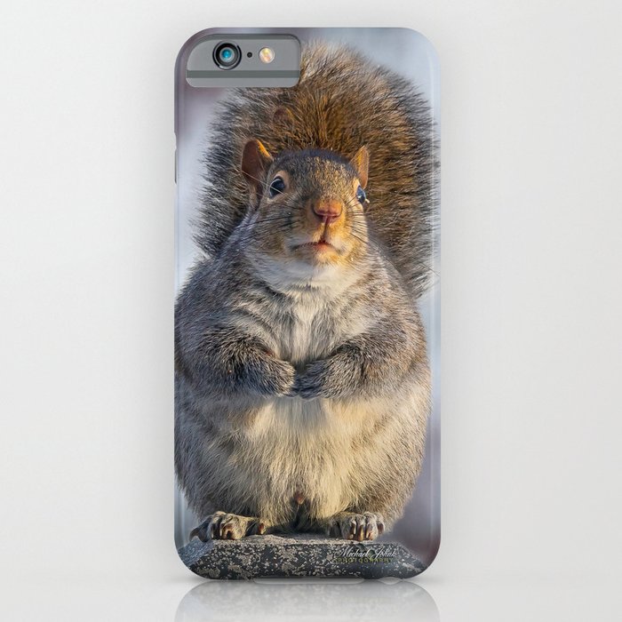 Squirrel Perched iPhone Case
