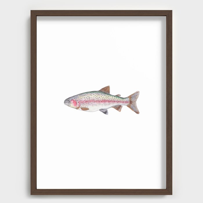Rory the Rainbow Trout Recessed Framed Print by billiemay