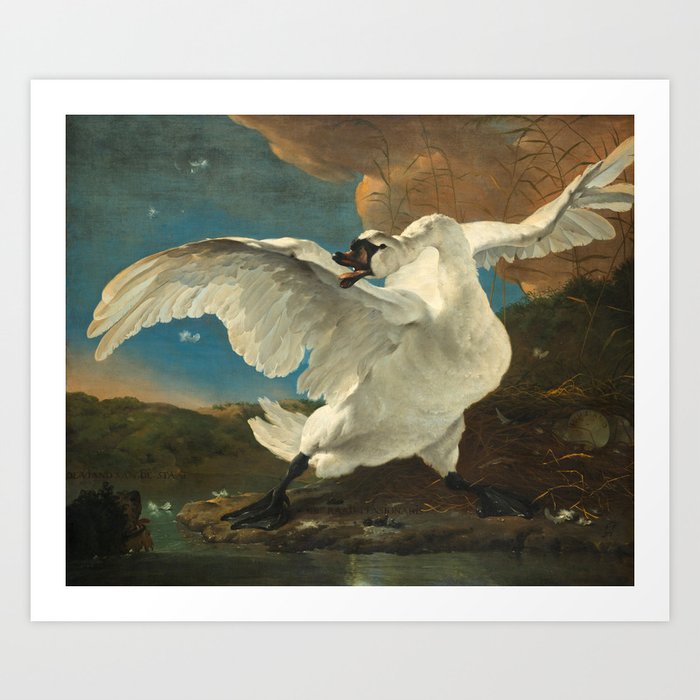 The Threatened Swan by Jan Asselijn Art Print