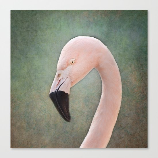 The solitary Flamingo Canvas Print