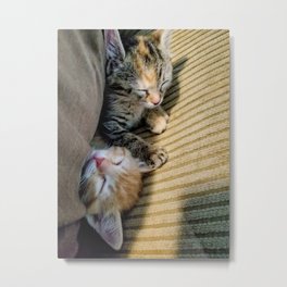 Sleeping Kittens  Metal Print