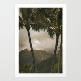 Mountain Waterfall Through the Palms Art Print