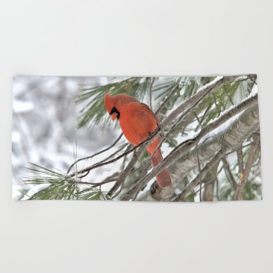 Snow Globe Cardinal Beach Towel