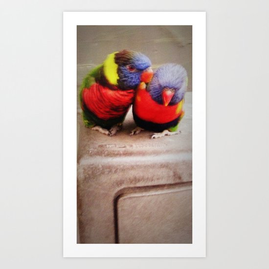 Love Birds Art Print