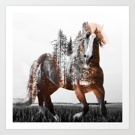 Sunset Rider Art Print