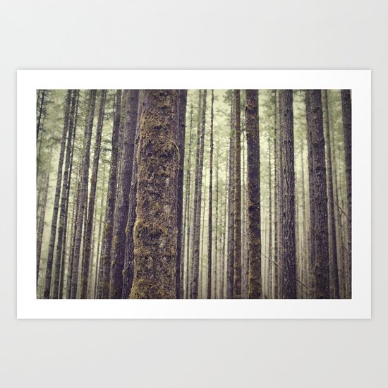 Forest Art Print