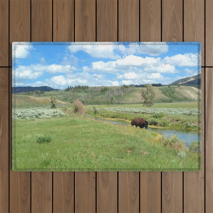Bison, Grand Teton National Park, Wyoming Outdoor Rug