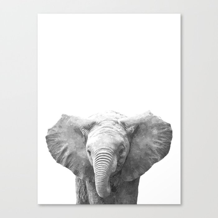 Black And White Baby Elephant Canvas Print By Alemi Society6