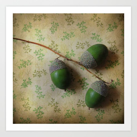 Three Acorns Art Print