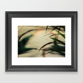 [1] Dancing people, dance, shadows, hands and plants, blurred photography, artistic, forest, yoga Framed Art Print