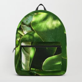 Banana leaf Backpack | Nature, Bitifoto, Color, Green, Tropical, Tropic, Tropicalfruit, Leaf, Photo, Zeleno 