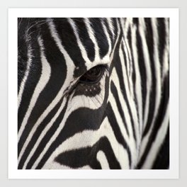 Zebra Eye Art Print