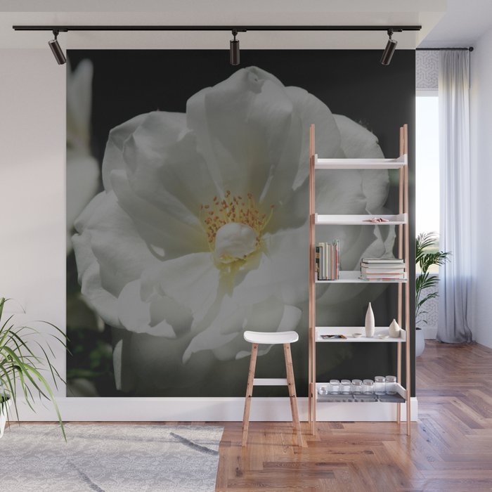 White Roses On Black Wall Mural by lyndaanneart | Society6