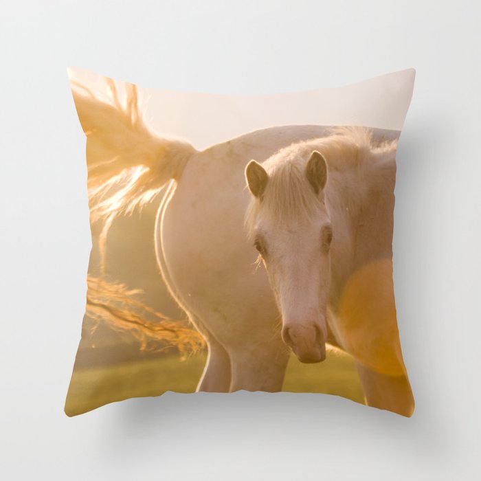 sun in horse's tail Throw Pillow