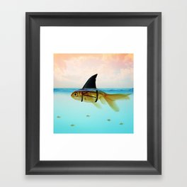 goldfish with a shark fin Framed Art Print