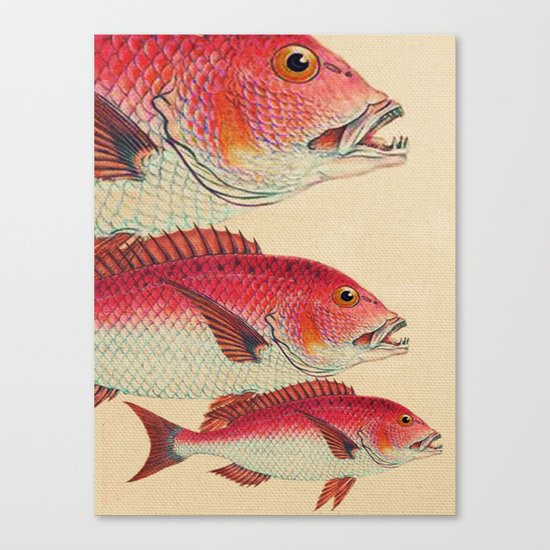 Fish Classic Designs 7 Canvas Print