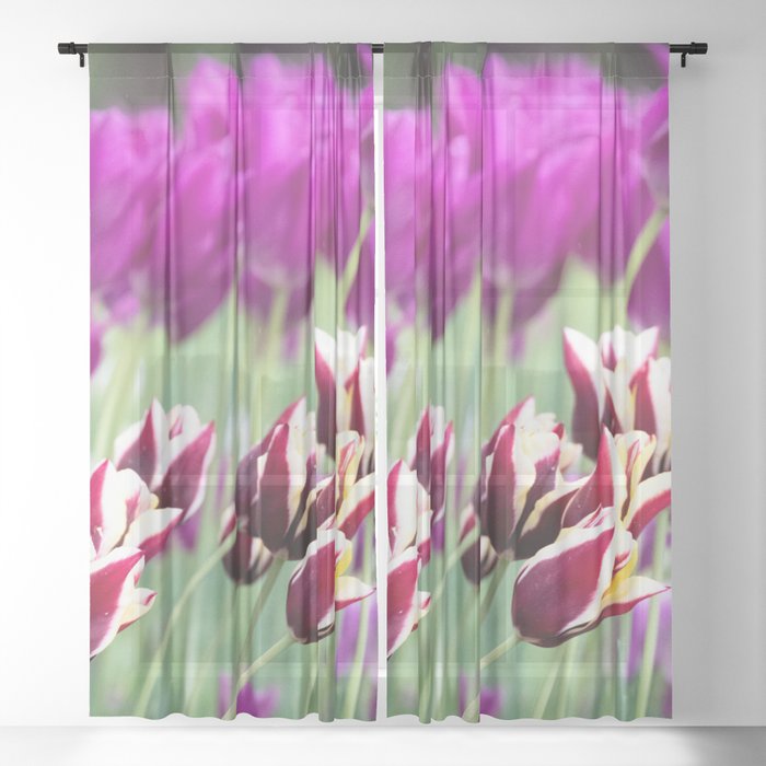 Puple Tulip Sheer Curtain