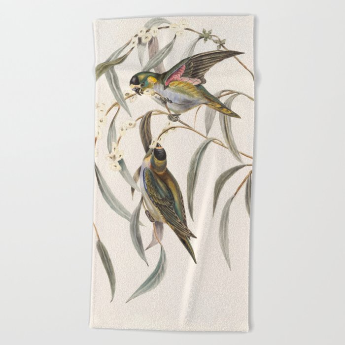 Historical Vintage Birds Perching Beach Towel